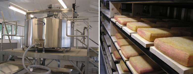 Nicasio Valley Cheese Company Production